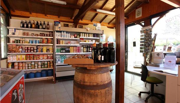 Les services du Camping La Plage, camping 3 étoiles avec piscine, location de mobil homes, accès direct rivière, près de Sarlat, Castelnaud et Lascaux en Dordogne Périgord Noir