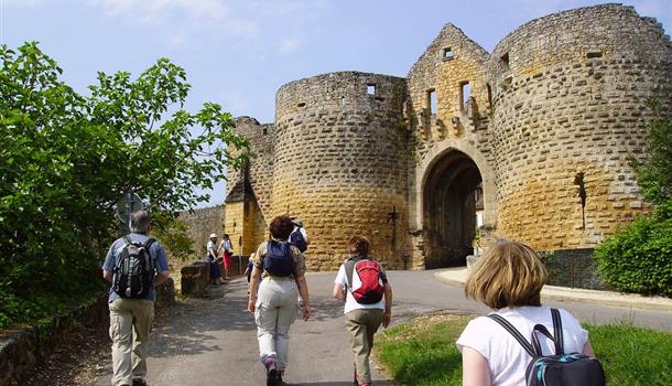 Activités de loisirs près du Camping La Plage, camping 3 étoiles avec piscine, location de mobil homes, accès direct rivière, près de Sarlat, Castelnaud et Lascaux en Dordogne Périgord Noir